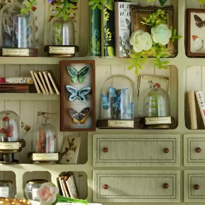 Close-up of the internal shelving unit of the plant dollhouse, filled with miniature books, framed butterflies, and glass-domed displays.