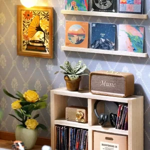 Music house dollhouse, music-themed miniature details, records, speaker.