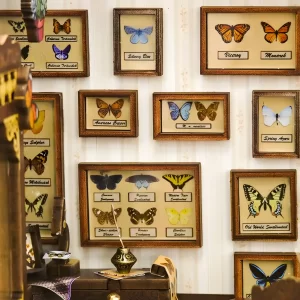 Close-up of the miniature butterfly collection wall in the Butterfly House book nook kit; a peaceful countryside décor piece.