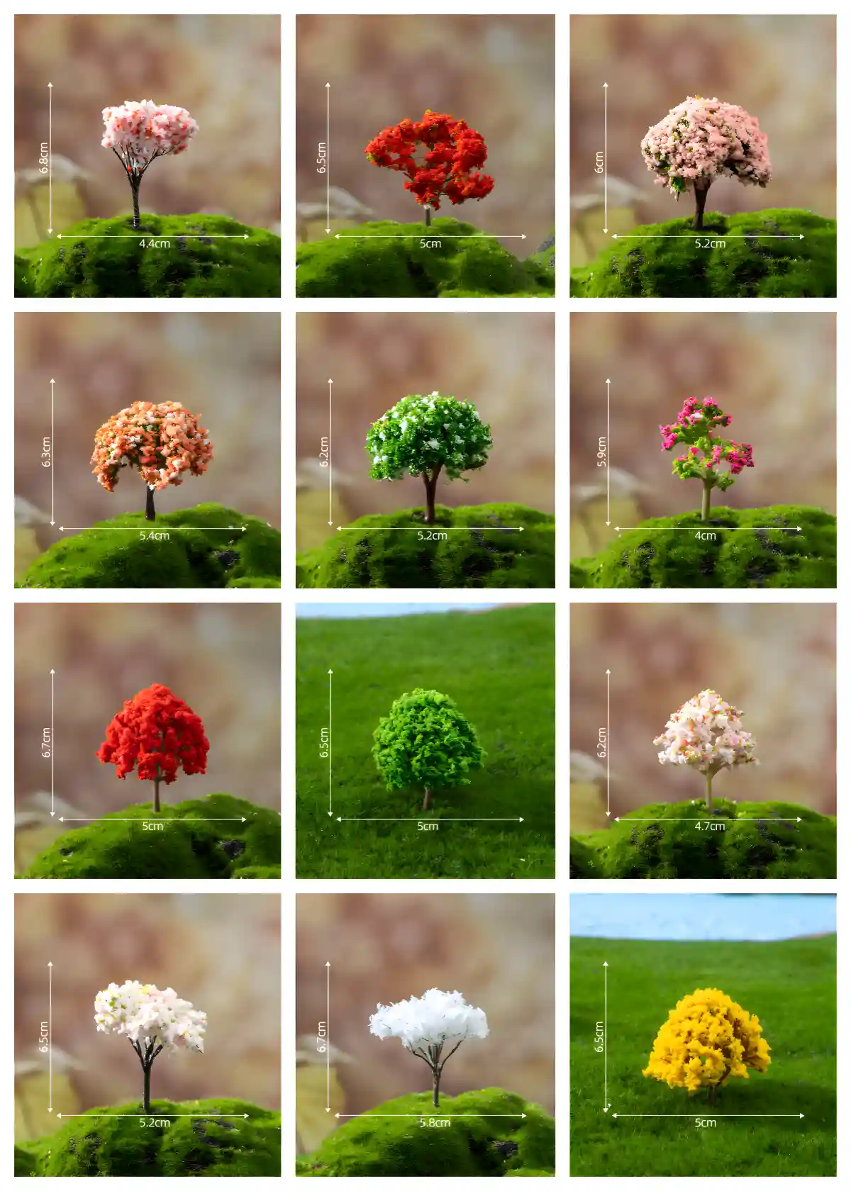 Comprehensive size guide for 12 styles of miniature flowering trees including cherry blossom and sakura.