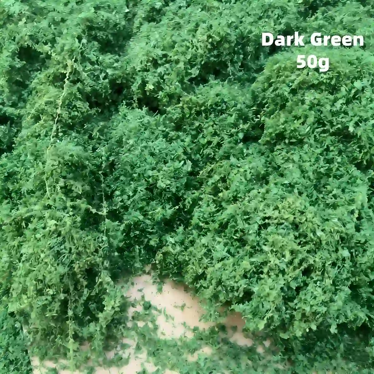 Dark green miniature greenery, realistic diorama vegetation, model foliage vines for dense book nook landscaping.