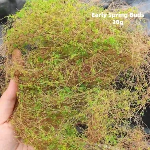 Early spring buds miniature plants for diorama, wispy model foliage vines for realistic miniature landscaping materials.