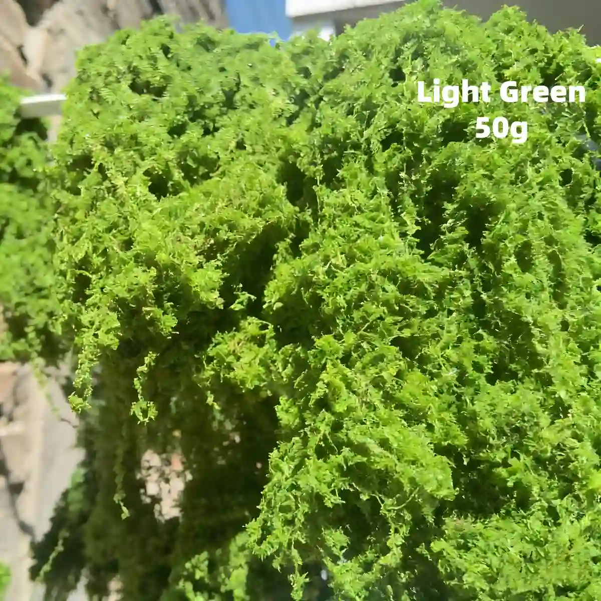 Light green miniature plants for diorama, spring-themed model foliage vines for realistic miniature landscaping materials.