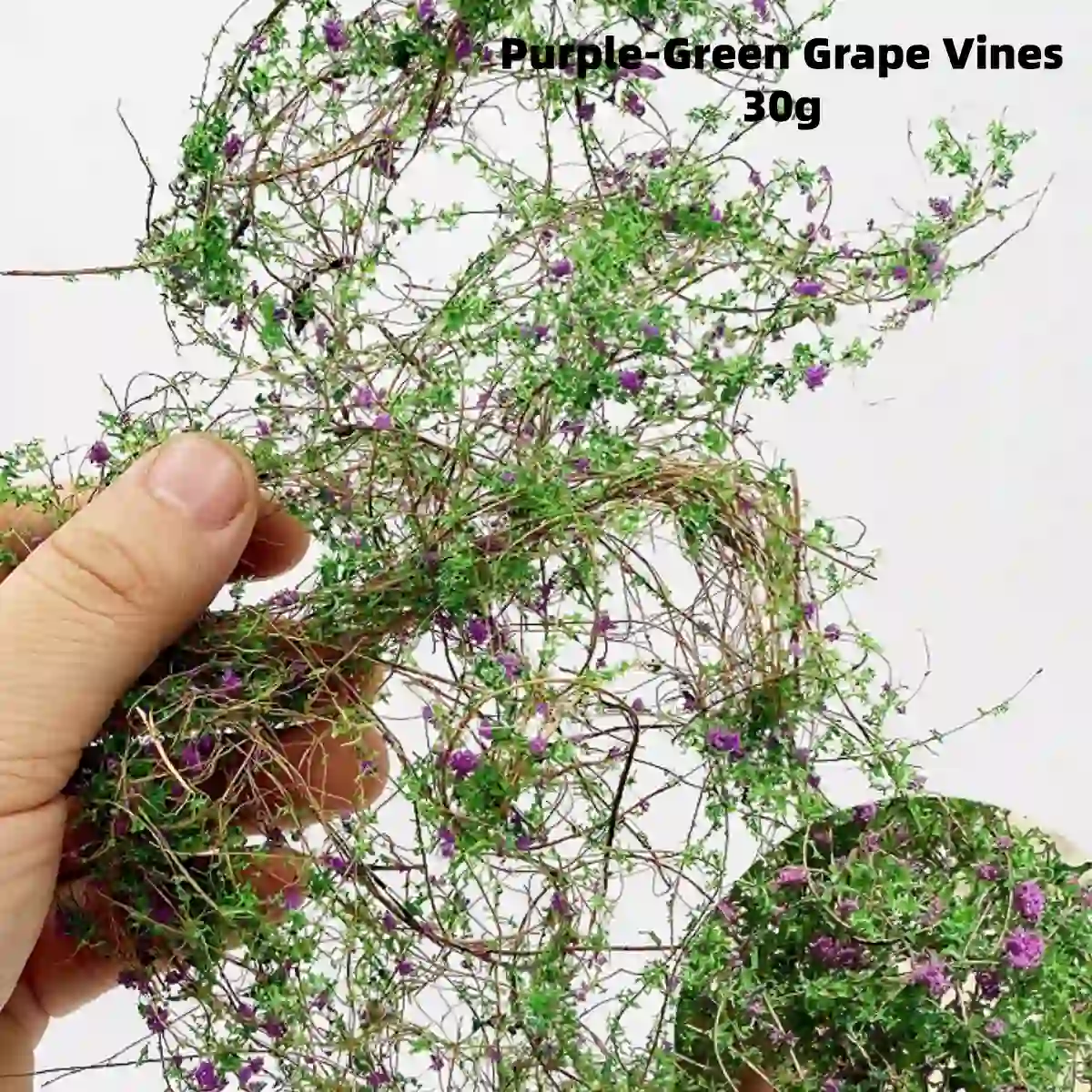 Purple and green grape miniature vines, climbing model foliage vines for vineyard-style book nook plants.
