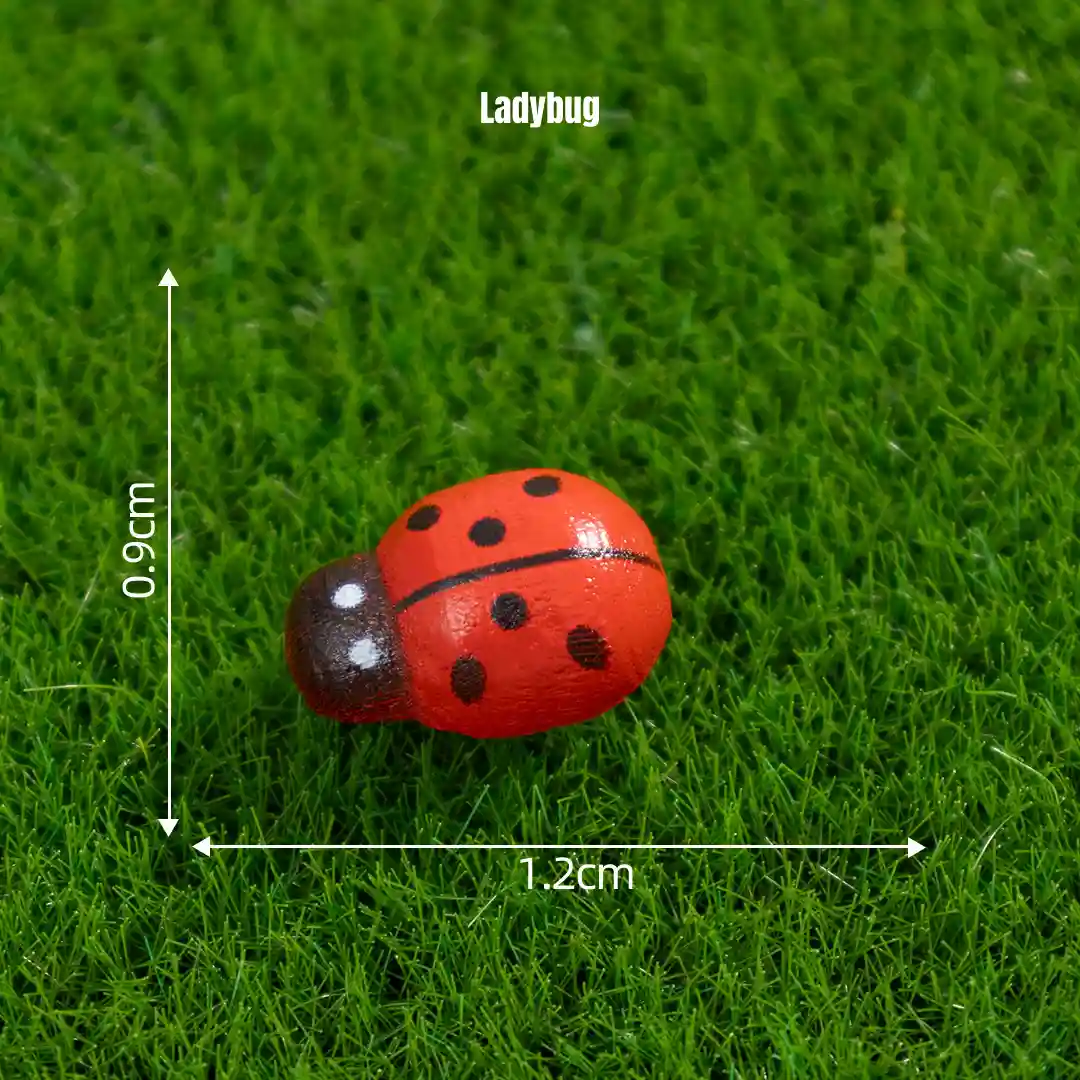 Red ladybug miniature decorations piece on green grass for fairy garden scenes